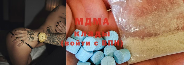 PSILOCYBIN Бородино
