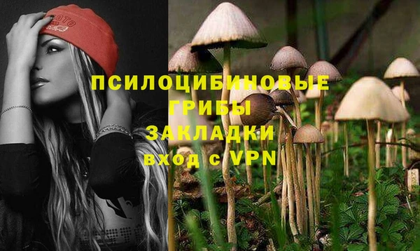 PSILOCYBIN Бородино