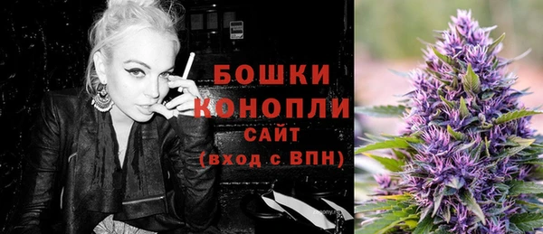 PSILOCYBIN Бородино