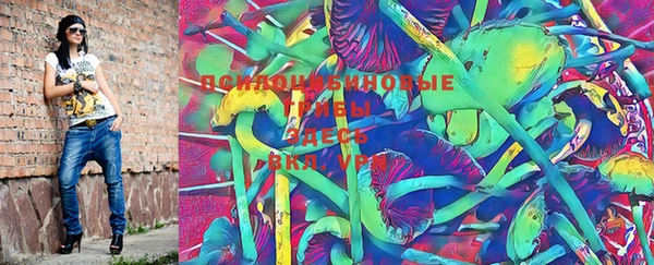 PSILOCYBIN Бородино