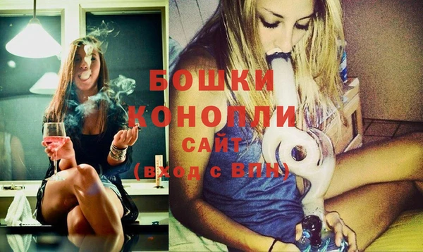 твердый Бронницы